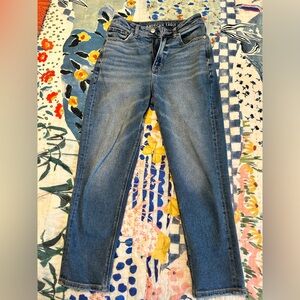 American Eagle Outfitters High Rise Blue Jeans